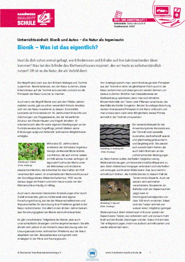 Bionik – Was ist das eigentlich?