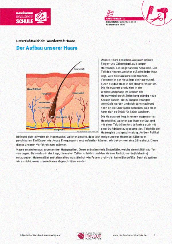 Der Aufbau unserer Haare