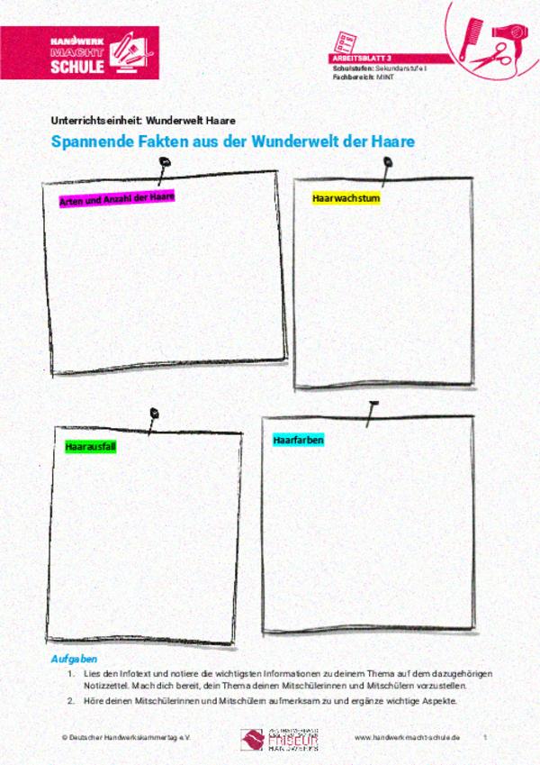 Fakten aus der Wunderwelt Haare