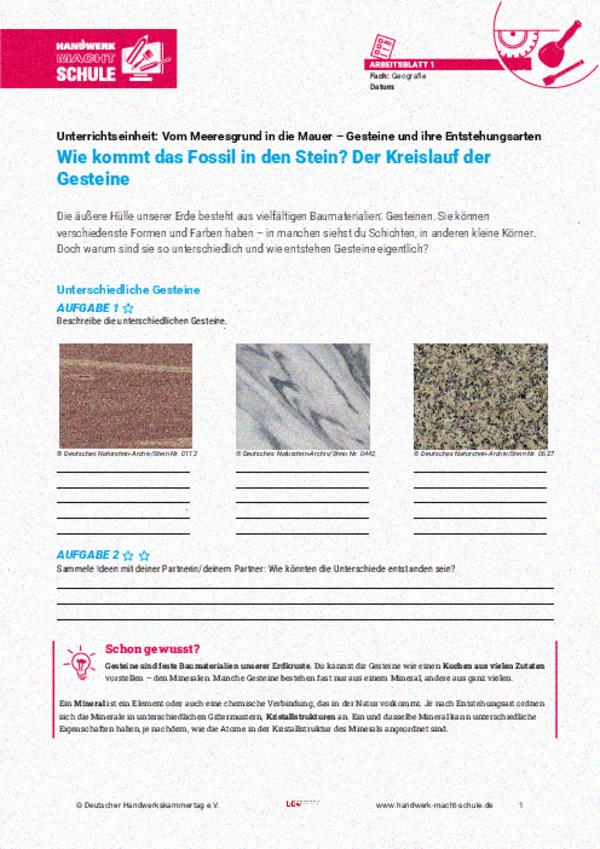 Wie kommt das Fossil in den Stein? Der Kreislauf der Gesteine