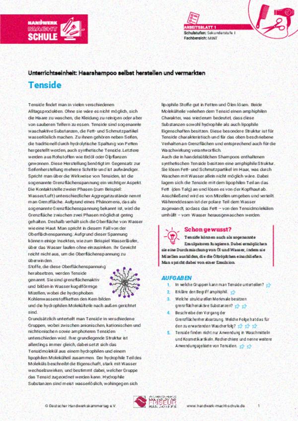 Tenside und ihre Waschwirkung