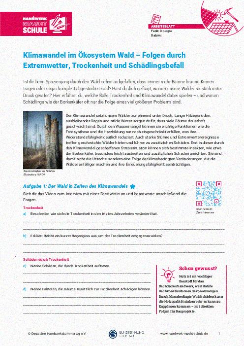 Klimawandel im Ökosystem Wald