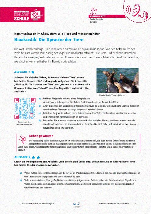 Bioakustik: Die Sprache der Tiere