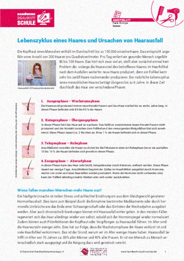 Lebenszyklus eines Haares und Ursachen von Haarausfall